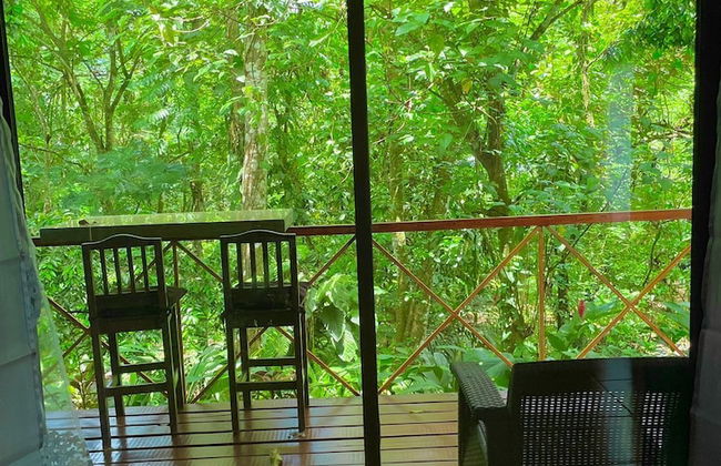 Cabañas El Bosque del Arenal - Foto 16