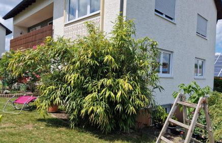 Ferienwohnung Wiesental 89331 Burgau, Wiesentalstrasse 1 - Foto 66