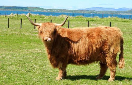 Primrose Cottage - Foto 19