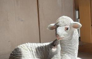 Hygge Młyńsko - Foto 10