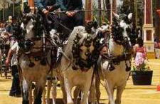 Apartamento Prieta - Foto 32