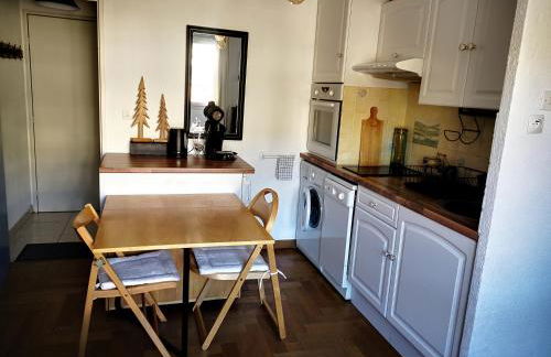 Apt confortable au pied des pistes et de la forêt - Foto 19