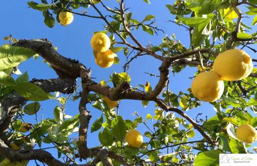 Casa D'Avó (1º Andar) - Photo 21