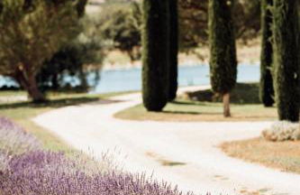 Domaine de la barbeirasse - Foto 59