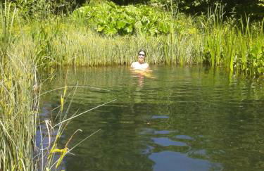 Ferienwohnung im Gartenparadies - Foto 6
