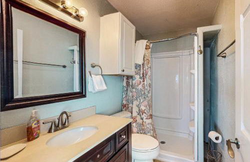 Lost Colony Lost Sea Turtle - Foto 21