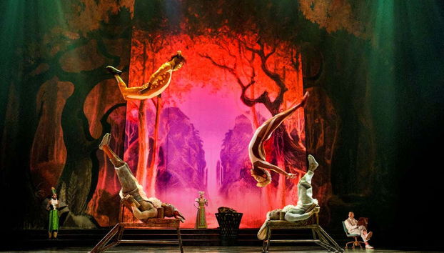 Artistes du Cirque du Soleil effectuant des acrobaties