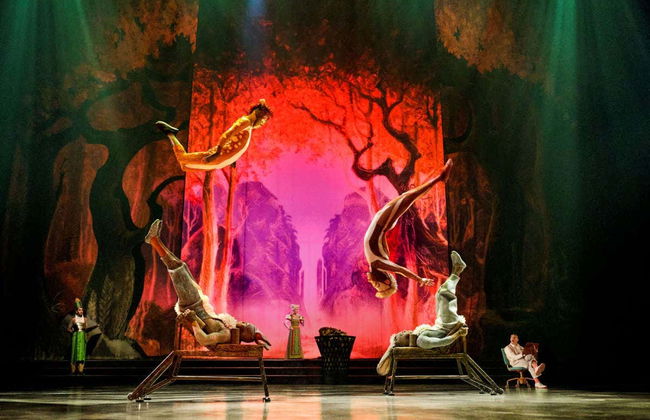 Cirque du Soleil Drawn to Life Tickets - Foto 5