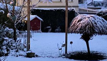 Eiderperle - Photo 3, Garden