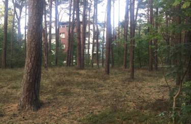 RESET ul. Ratibora 66 - Foto 10