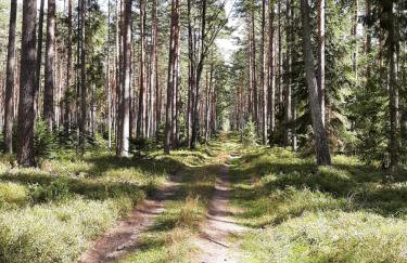 Osada Wejsuny - Foto 53