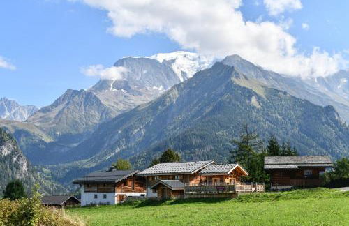 Vielyterra - Chalet haut de gamme - Domaine du mont blanc - Foto 9