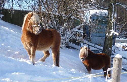Ferienhaus Kögel - Foto 42