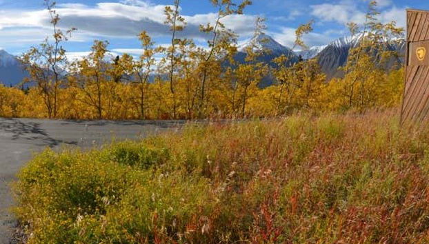 El Parque Nacional de Kluane en verano