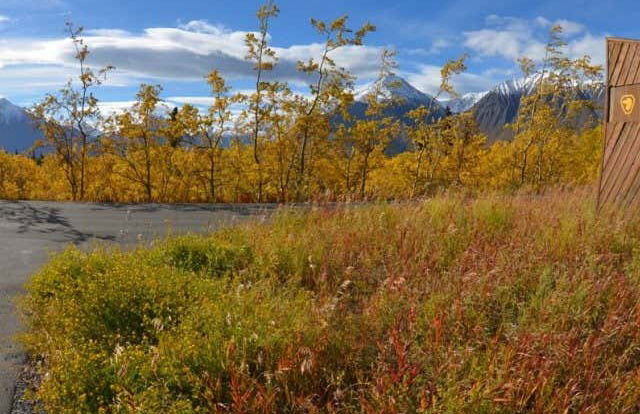 Escursione al Parco Nazionale di Kluane - Foto 3