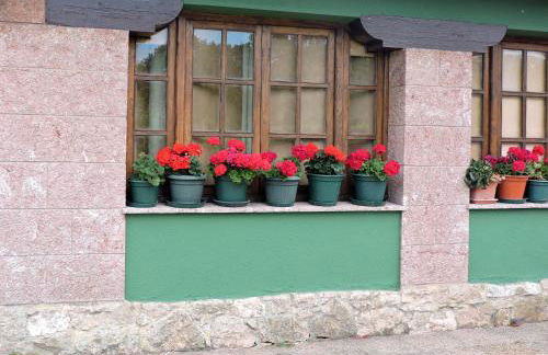 La Escuela de Premio - Foto 12