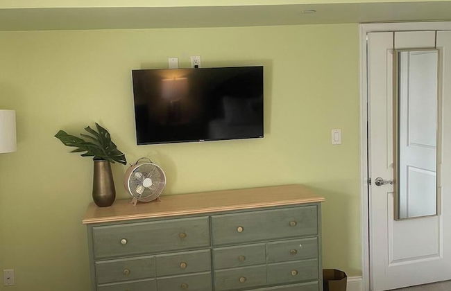 THE Opal S303 - Foto 2