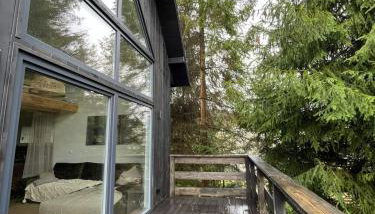 Poczciwy Bies - Foto 5