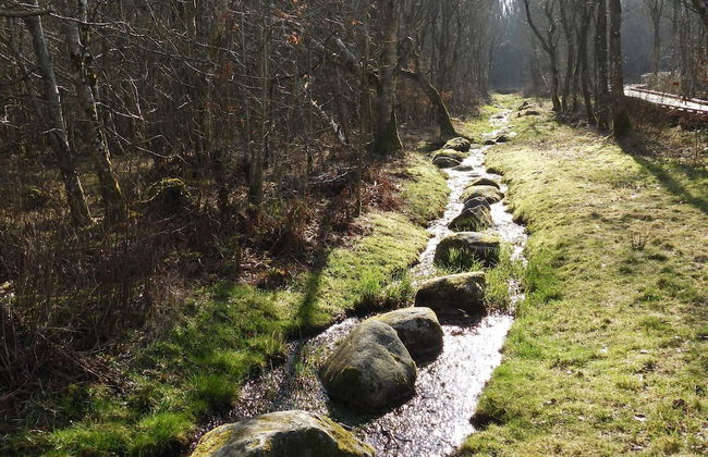 Rustic Farmhouse Getaway - By Traum Ferienwohnungen - Foto 25