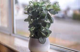 Muirhead House - Foto 28