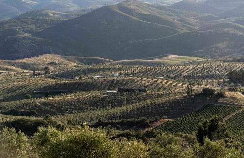 Acushla Golden House Douro - Foto 31