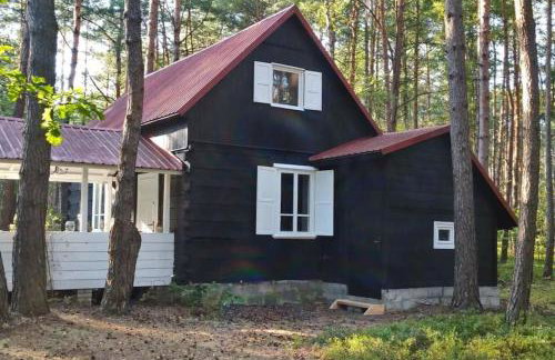 Wilga - urokliwy dom z bala (50 km od Warszawy) - Foto 4