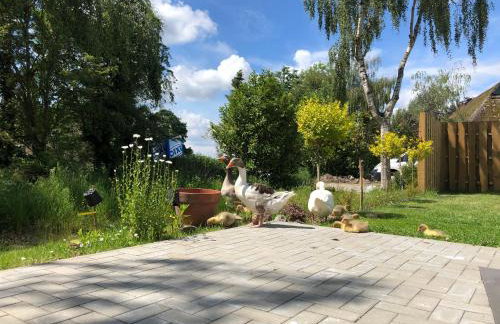 Ferienhaus Malte Büsch - Foto 4