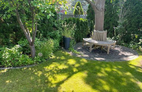 Storchenblick-No-1 - Foto 31