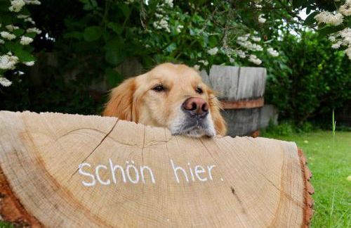 EifelBleibe, Ferienwohnungen - Foto 3