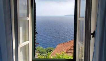 captain Ivo - Foto 4