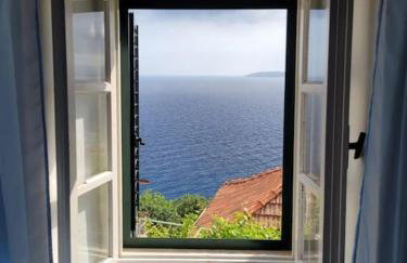 captain Ivo - Foto 4