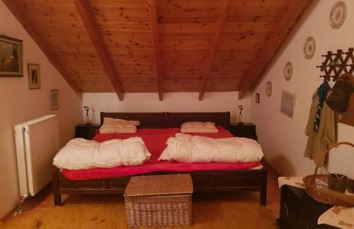 Stone Mountainhouse near Kalavryta, North Peloponnese, Greece - Foto 78