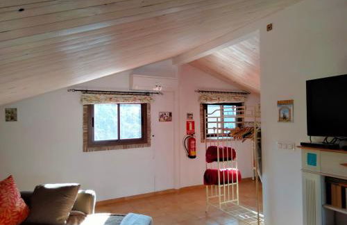 Finca Los Jacaros - Foto 28