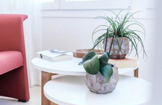 Polo Apartaments 7A - Photo 21