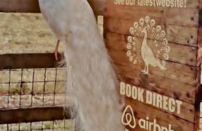 Modern Barn Conversion - Photo 31