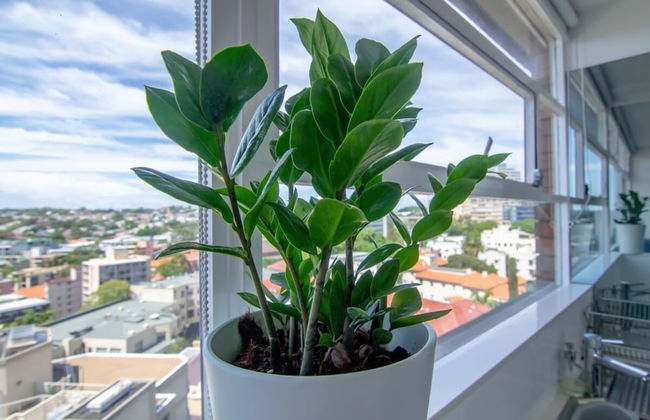 Bright 1 Bedroom Studio With Amazing City Views - Foto 12