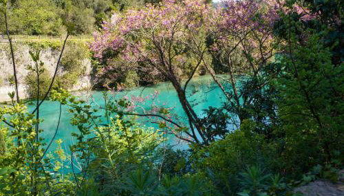 Il Principe di Stifone - Foto 5, Other