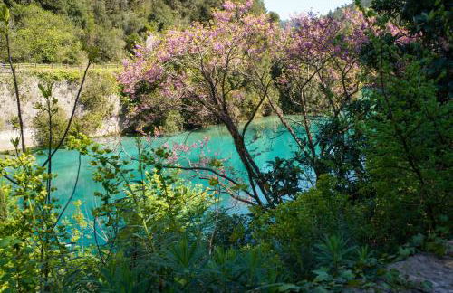 Il Principe di Stifone - Foto 6