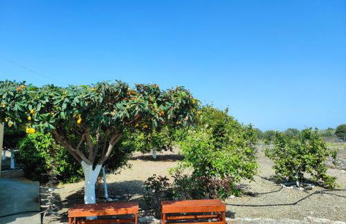 Garden View Appartment (Thanasis) - Foto 17