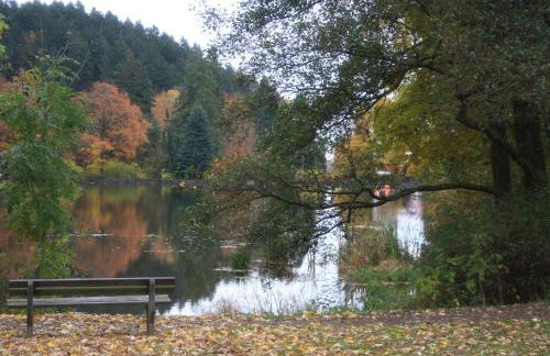 FeWo Harz Haennig 2 - Foto 42