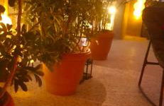 Jocasta - Cocoon Apartment Near Metro Station - Photo 25