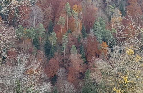 Sonnenhof, Ferienwohnung auf Reitanlage - Foto 28
