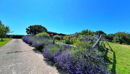 Oak Valley Lodges & Camping - Foto 2