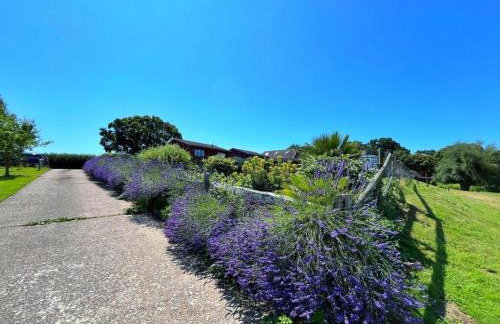 Oak Valley Lodges & Camping - Foto 2