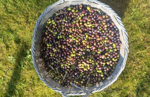 Agriturismo Giorgini - Foto 10