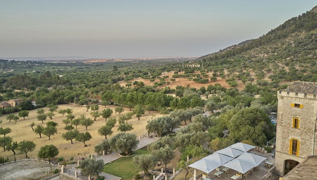 Agroturismo Alquería Blanca - Foto 4