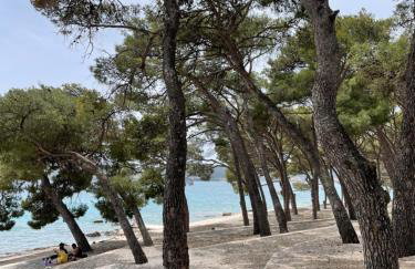 Mobile Home Lena - Biograd - Foto 10