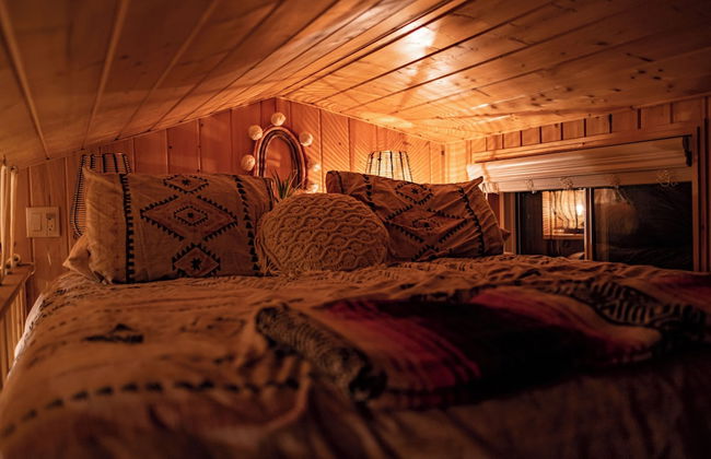 Boho Beaver - Foto 7