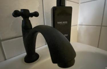 Schloss Nidda - FeWo mit Privatgarten, Fellnasen willkommen! - Foto 16