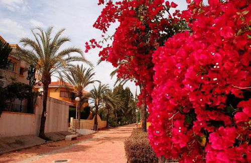 Familia Reunida Costa Cálida - Foto 31